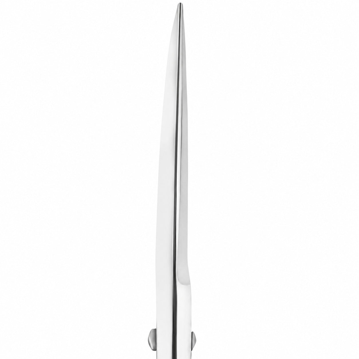 Tesoura Profissional Staleks Expert 30 tipo 1