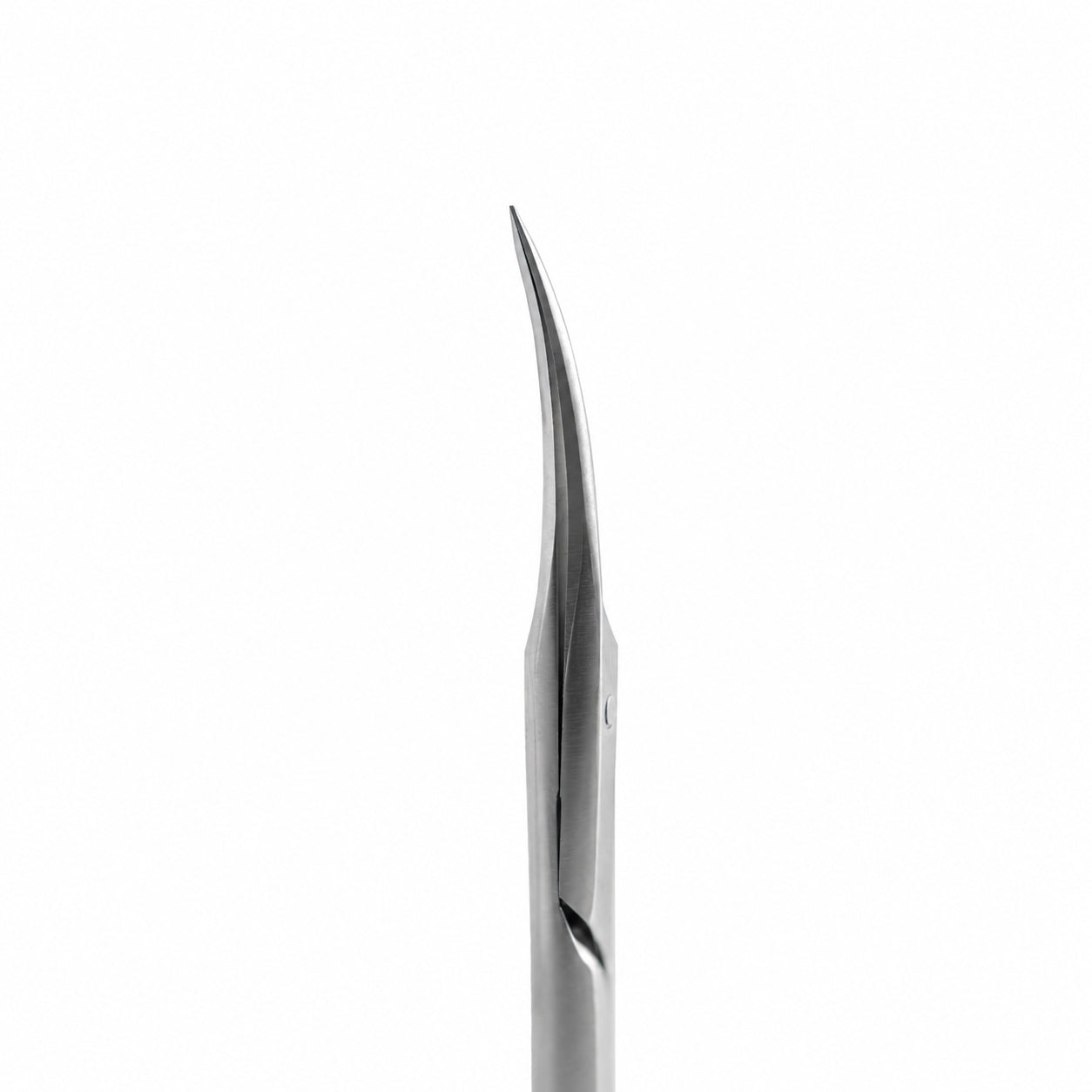 Tesoura Profissional Staleks Smart 40 tipo 3