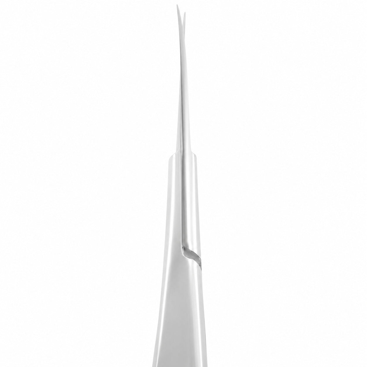 Micro Tesoura Profissional Staleks Expert 90 tipo 2