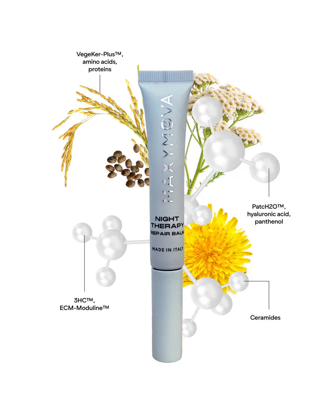 Night Therapy Bálsamo Reparador 8 ml Lash & Brow  - Maxymova